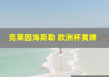 克莱因海斯勒 欧洲杯黄牌